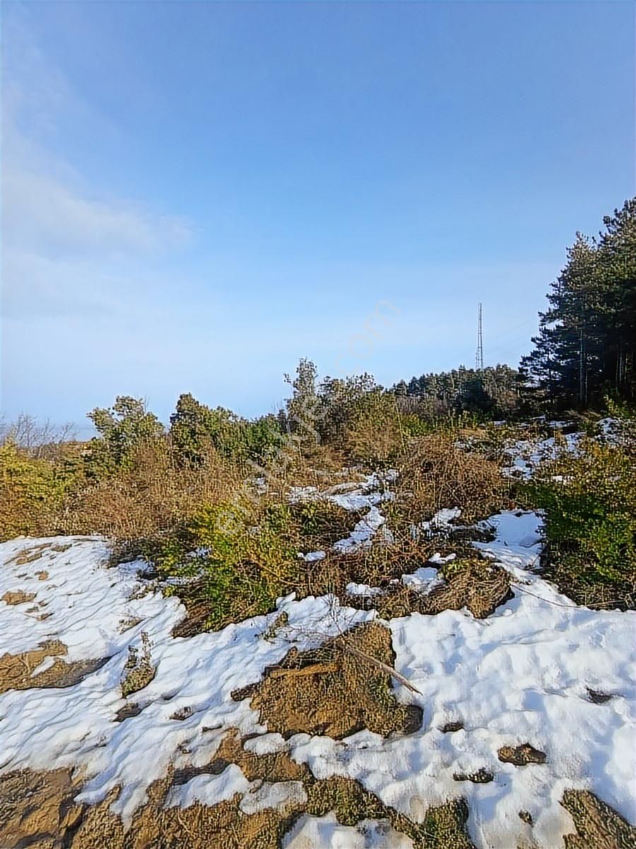 2.349.m2 .abana Merkez Mahallesi Satılık - Görsel 28