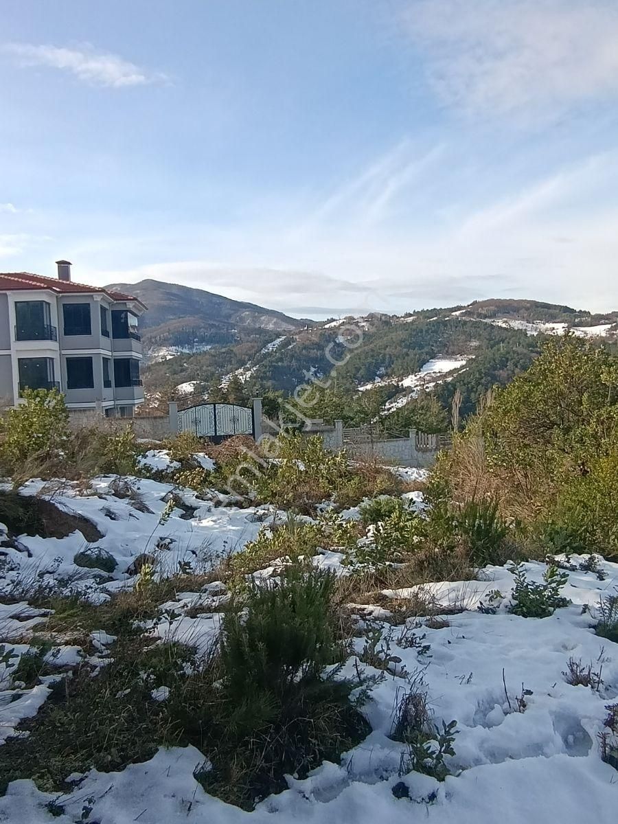 2.349.m2 .abana Merkez Mahallesi Satılık - Görsel 17