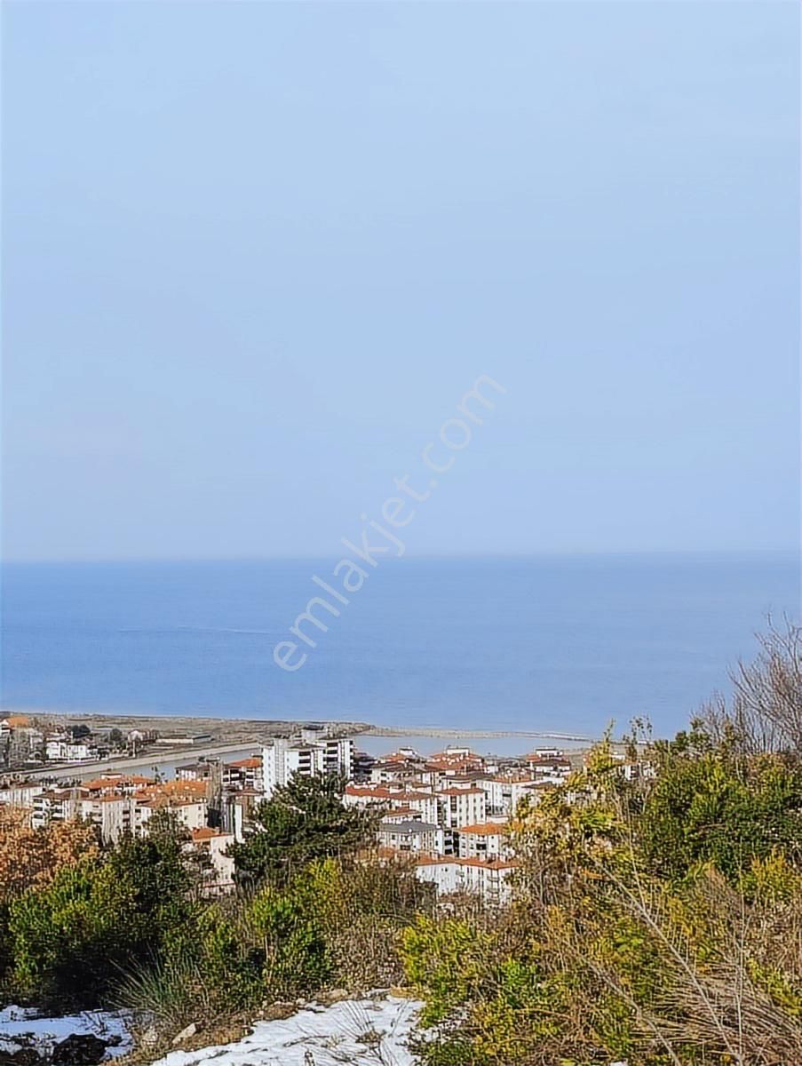 2.349.m2 .abana Merkez Mahallesi Satılık