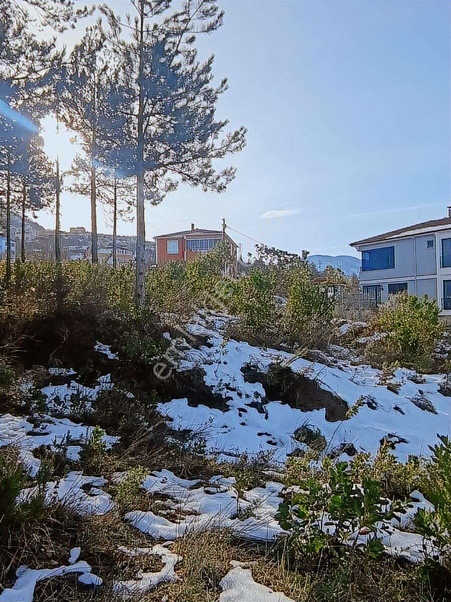 2.349.m2 .abana Merkez Mahallesi Satılık - Görsel 21