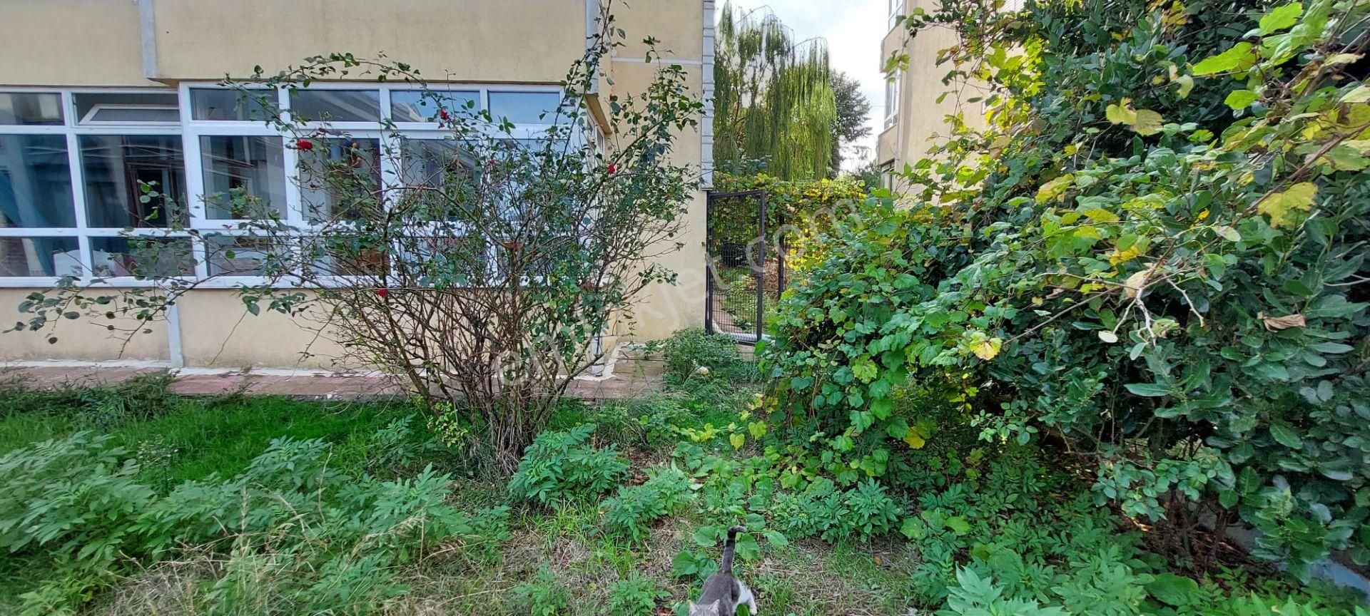 Çoook Acill Şile Merkezde 3+1 Pazar Sokağı Üstünde 150 M2 Satılı - Görsel 10