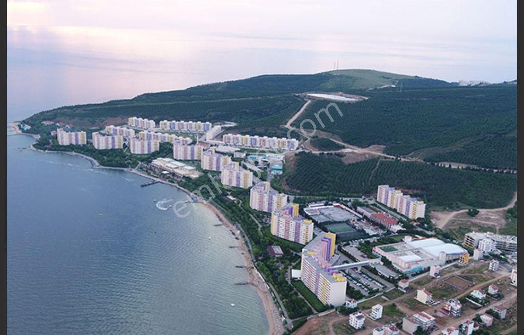 Yalova Armutlu Tatil Köyünde 6 Kasım - 20 Kadım Satılık Devremülk - Görsel 3