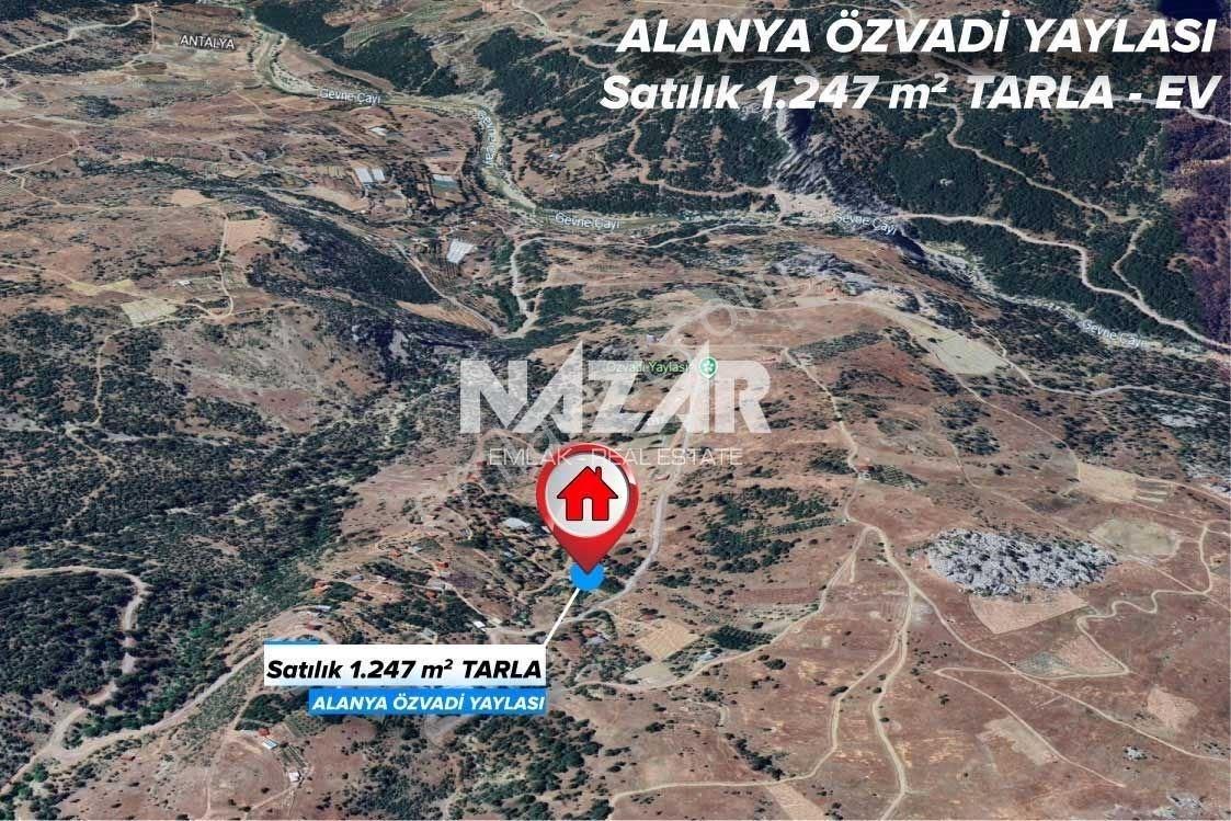 Alanya Özvadi Yaylası’nda 1.247 M² Satılık Tarla Ve 1+1 Ev