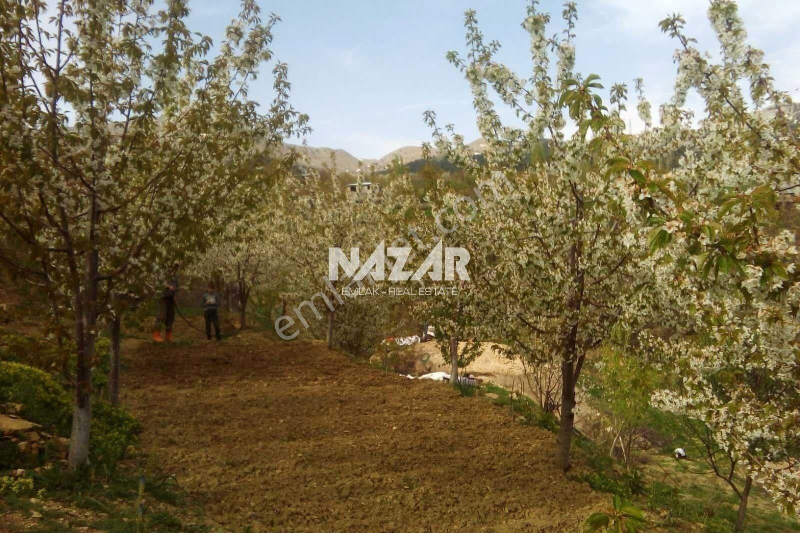 Alanya Özvadi Yaylası’nda 1.247 M² Satılık Tarla Ve 1+1 Ev - Görsel 11
