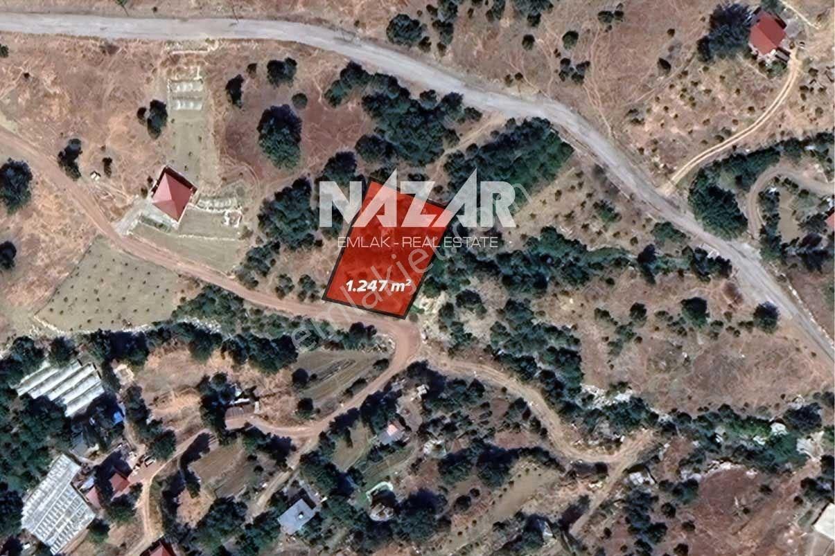 Alanya Özvadi Yaylası’nda 1.247 M² Satılık Tarla Ve 1+1 Ev - Görsel 5