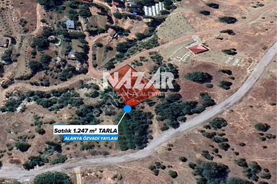 Alanya Özvadi Yaylası’nda 1.247 M² Satılık Tarla Ve 1+1 Ev - Görsel 2