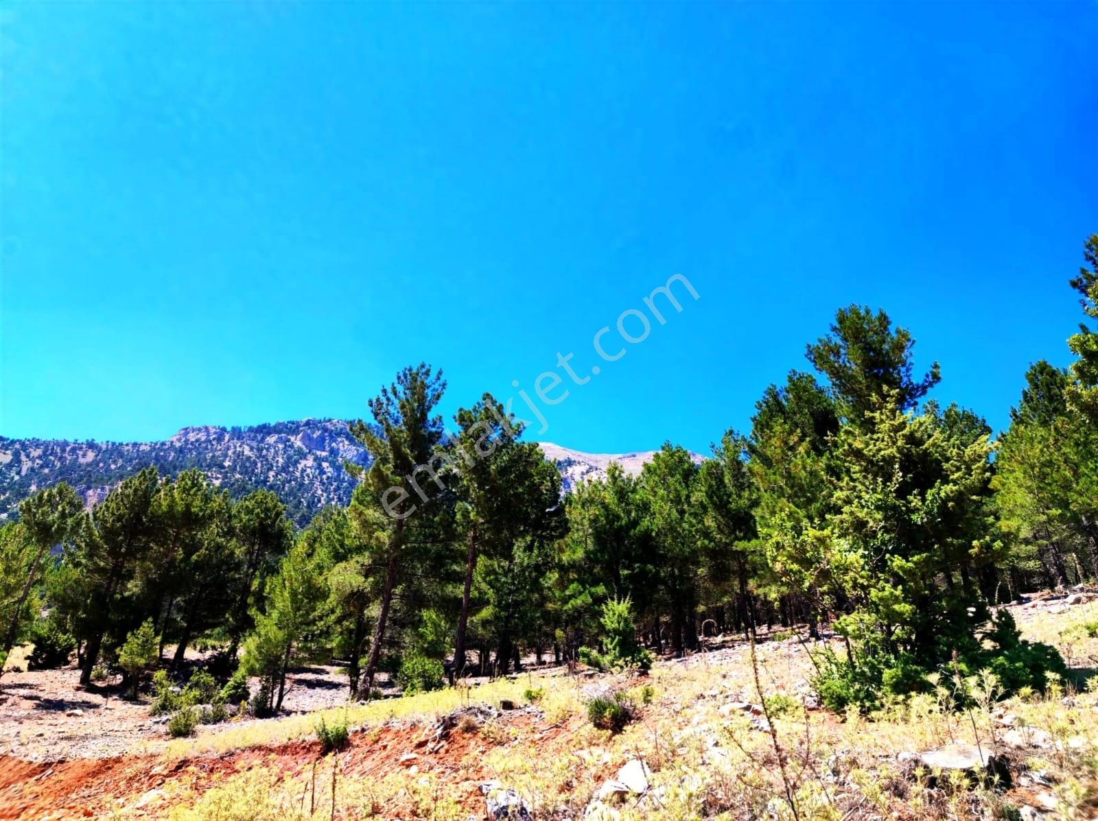 Kar Emlaktan Yenikonacık Efes Sitesi Yanı 500 M2 Satılık Arsa - Görsel 2