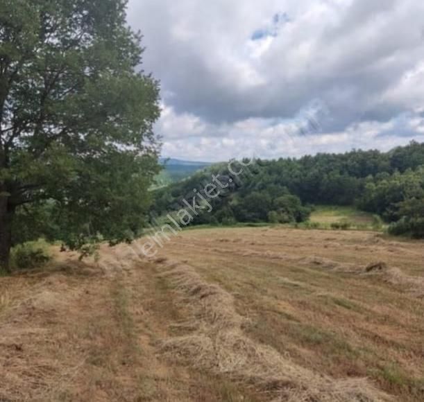 Gebze Hatiplerde 884 M² Müstakil Tapu Yatırımlık Arazi - Takas - Görsel 2