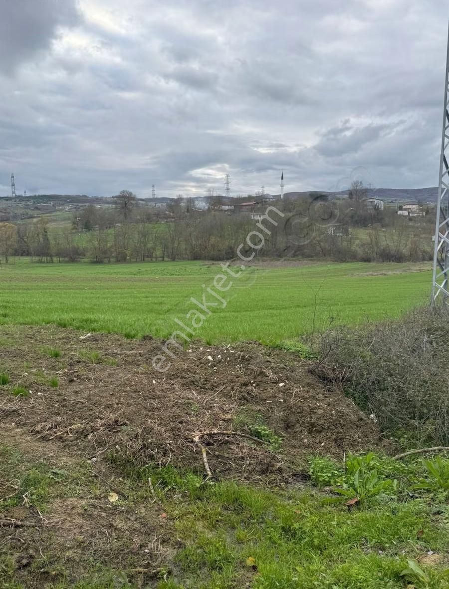 Kandıra Şerefsungurda 1508 M² Arazi 302 M² Konut İmarlı - Görsel 4