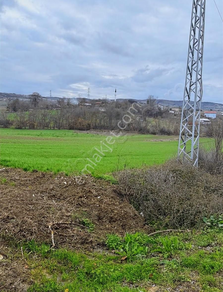 Kandıra Şerefsungurda 1508 M² Arazi 302 M² Konut İmarlı - Görsel 2