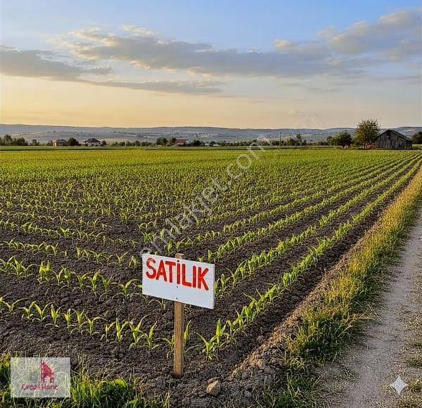 Yetkili Ofis- Kargınkürü'nde Ev İzinli 5220 M2 Arazi - Görsel 3