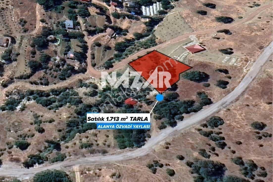 Alanya Özvadi Yaylası’nda 1.713 M² Satılık Tarla Ve Ev - Görsel 2