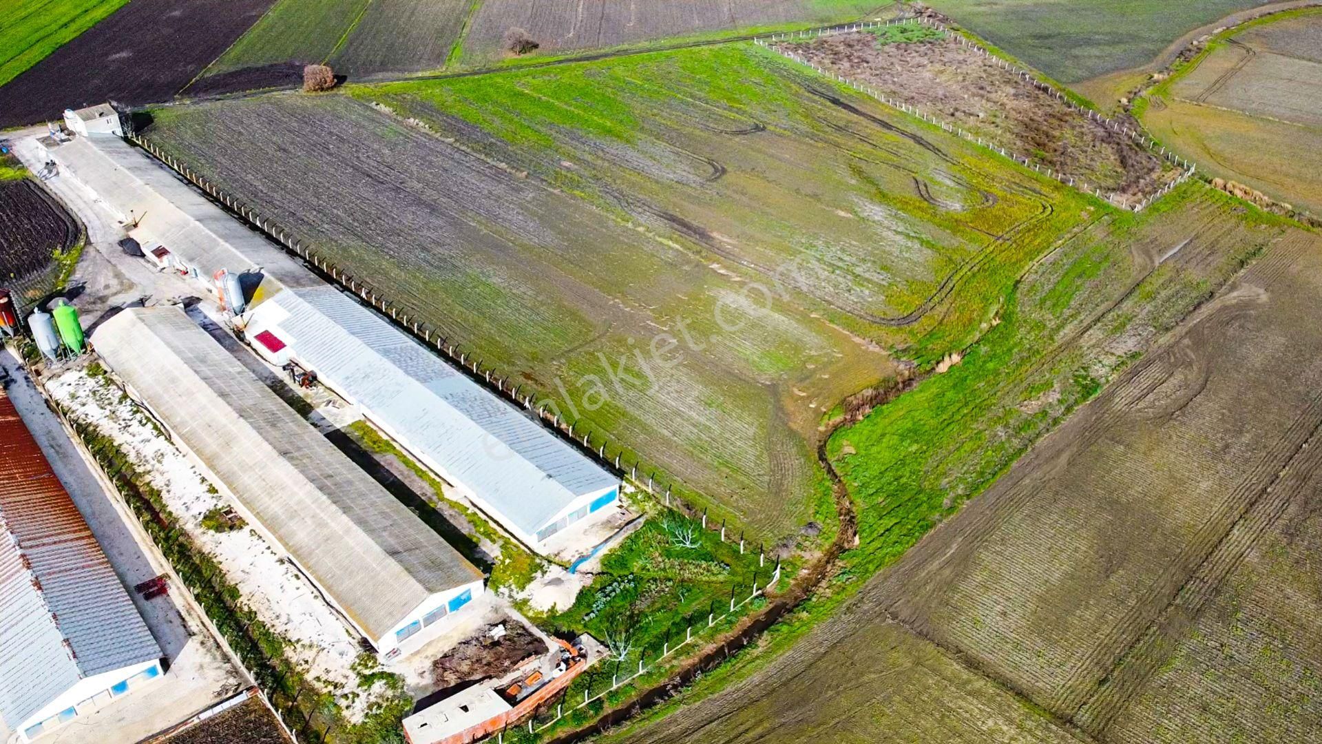 🟨⬛lıon Emlak'tan Bandırma Kuşcennet Mahallesinde 10.350 M² Yola Cephe Satılık Tarla⬛🟨 - Görsel 13