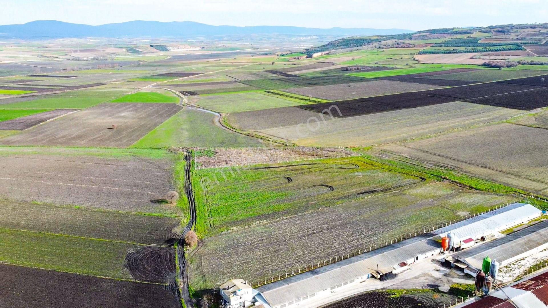 🟨⬛lıon Emlak'tan Bandırma Kuşcennet Mahallesinde 10.350 M² Yola Cephe Satılık Tarla⬛🟨 - Görsel 15