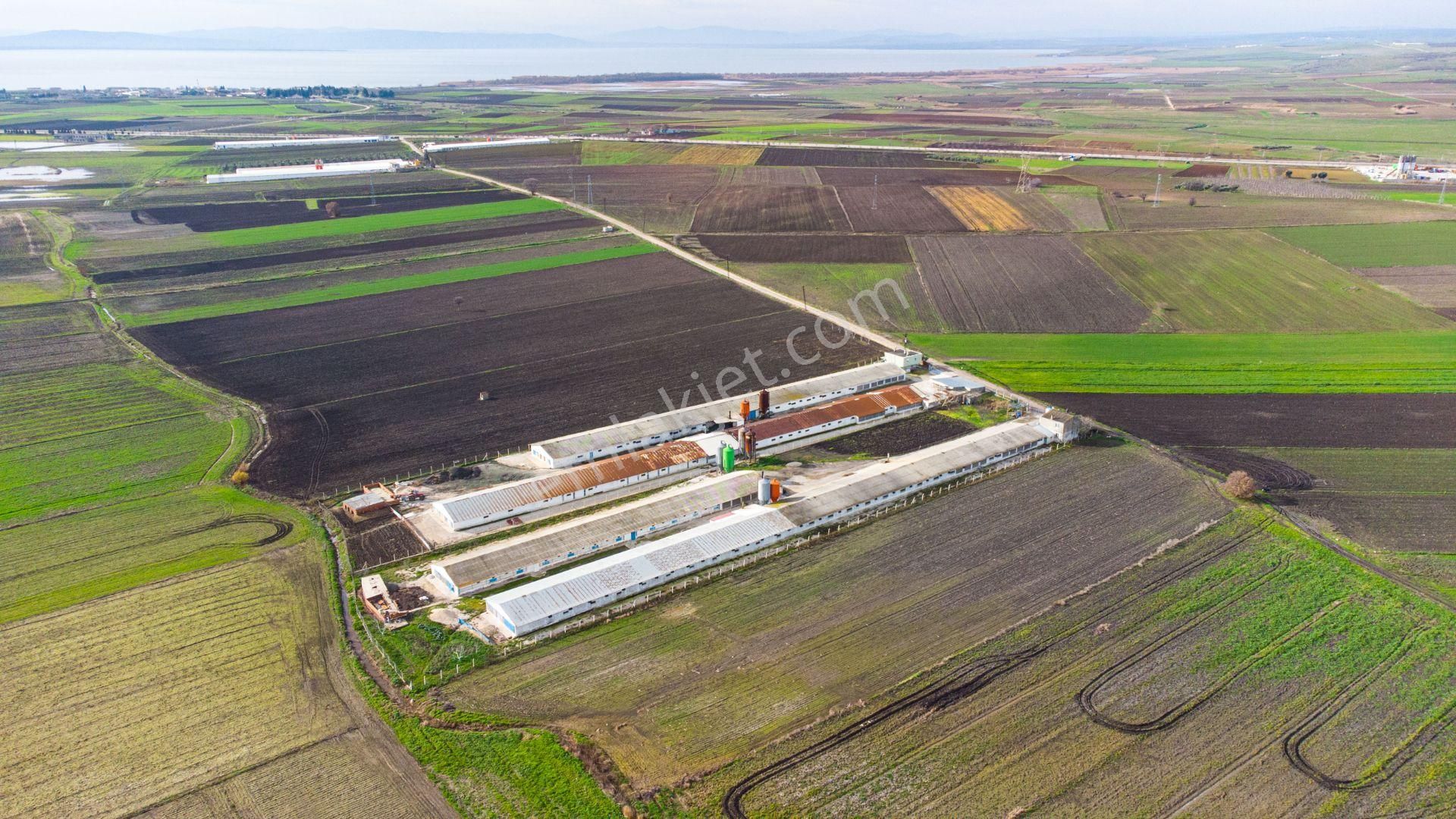 🟨⬛lıon Emlak'tan Bandırma Kuşcennet Mahallesinde 10.350 M² Yola Cephe Satılık Tarla⬛🟨 - Görsel 7