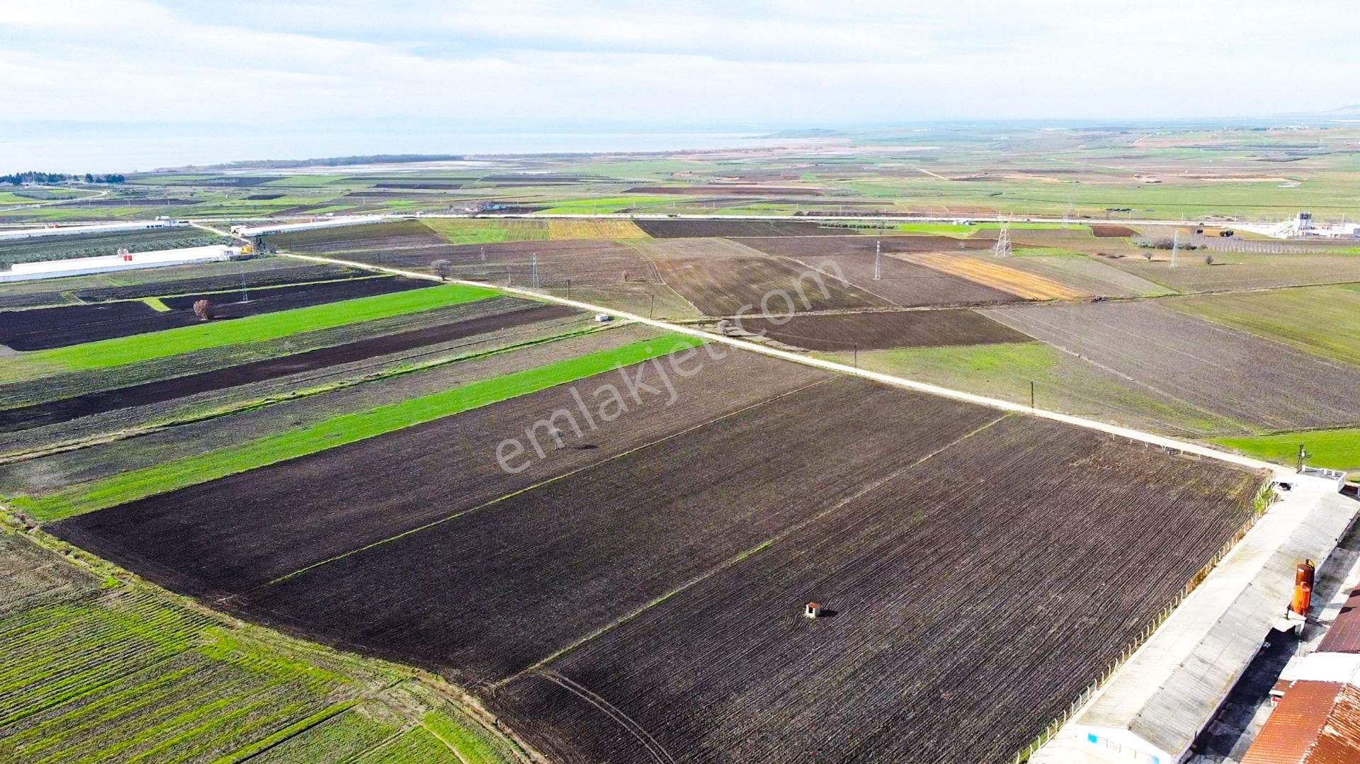 🟨⬛lıon Emlak'tan Bandırma Kuşcennet Mahallesinde 10.350 M² Yola Cephe Satılık Tarla⬛🟨 - Görsel 11