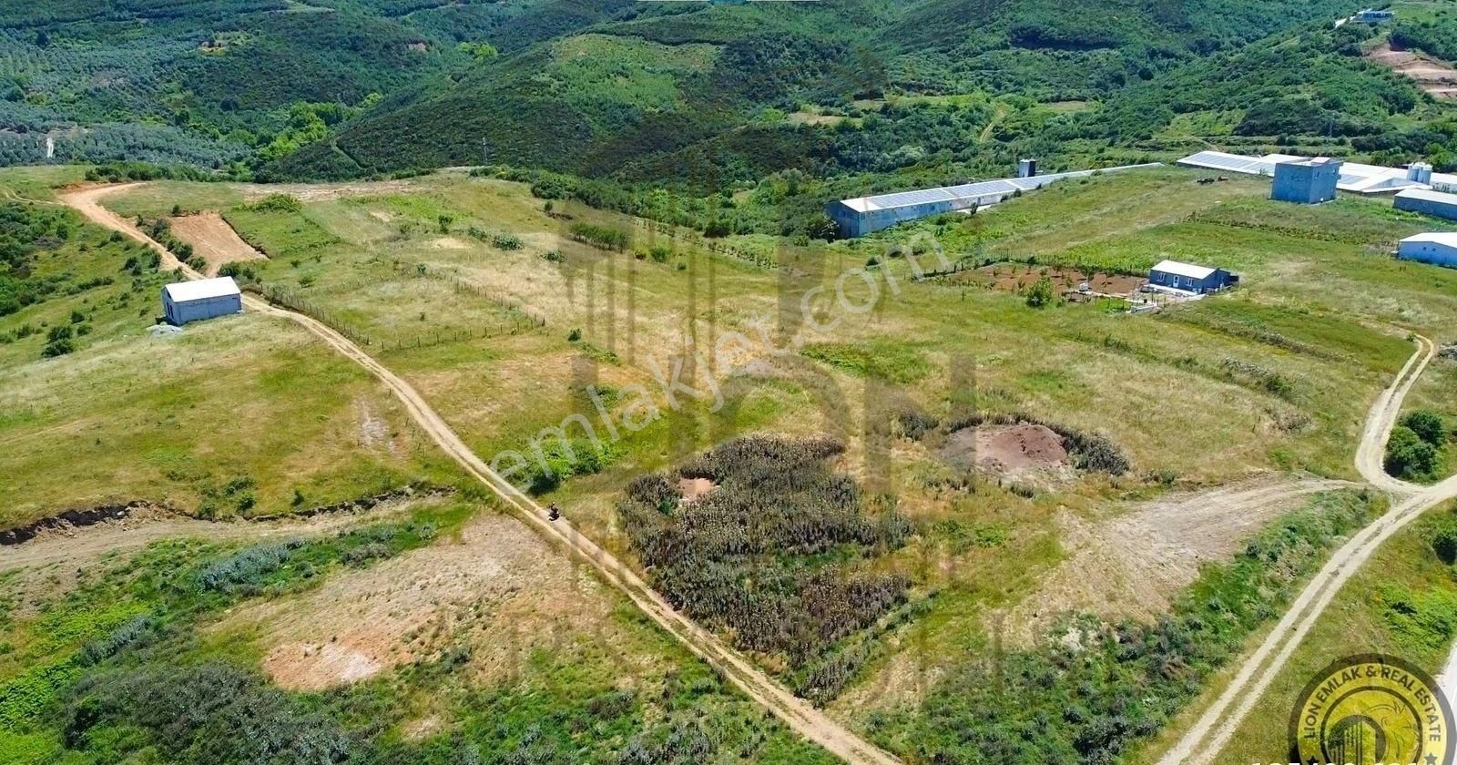 🟨⬛lıon Emlak'tan Bandırma Sahil Yenice'de Deniz Manzaralı Satılık 1.320 M² Tarla⬛🟨 - Görsel 15