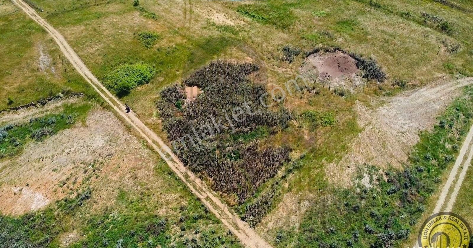 🟨⬛lıon Emlak'tan Bandırma Sahil Yenice'de Deniz Manzaralı Satılık 1.320 M² Tarla⬛🟨 - Görsel 16