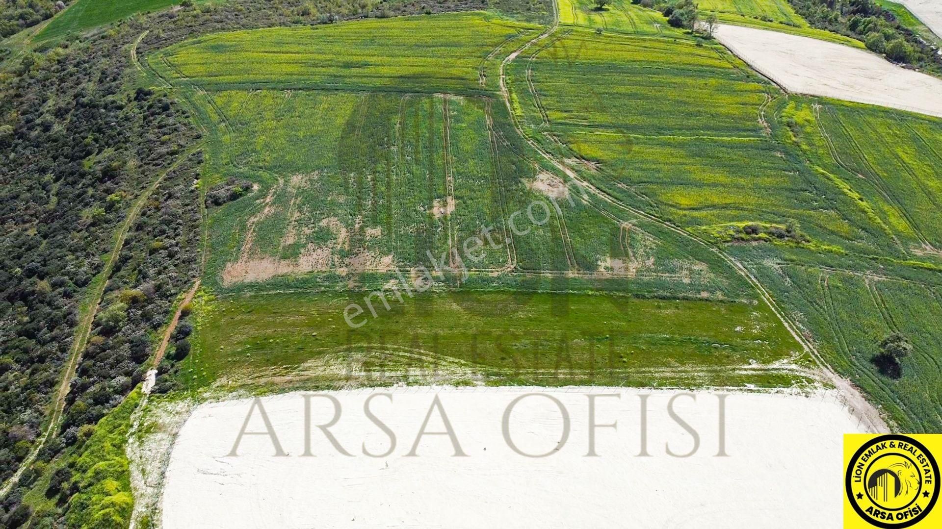 🟨⬛lıon Emlak'tan Bandırma Çakılköy Mahallesinde 5 Dönüm Fırsat Satılık Arazi⬛🟨 - Görsel 10