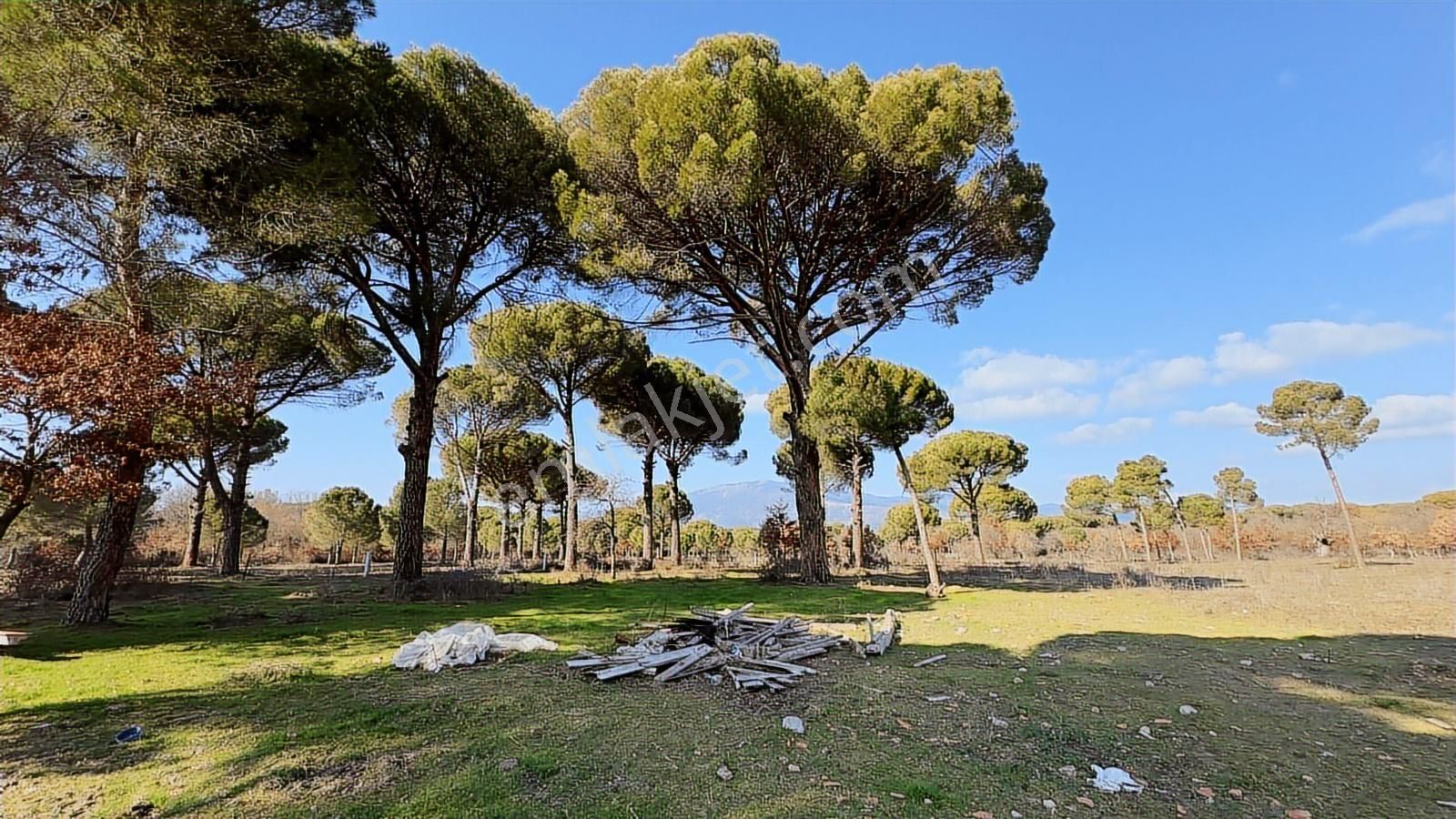 Kozak Yukarıbey'de Ayvalık Asfaltı Cepheli 10.600 M² Arazi