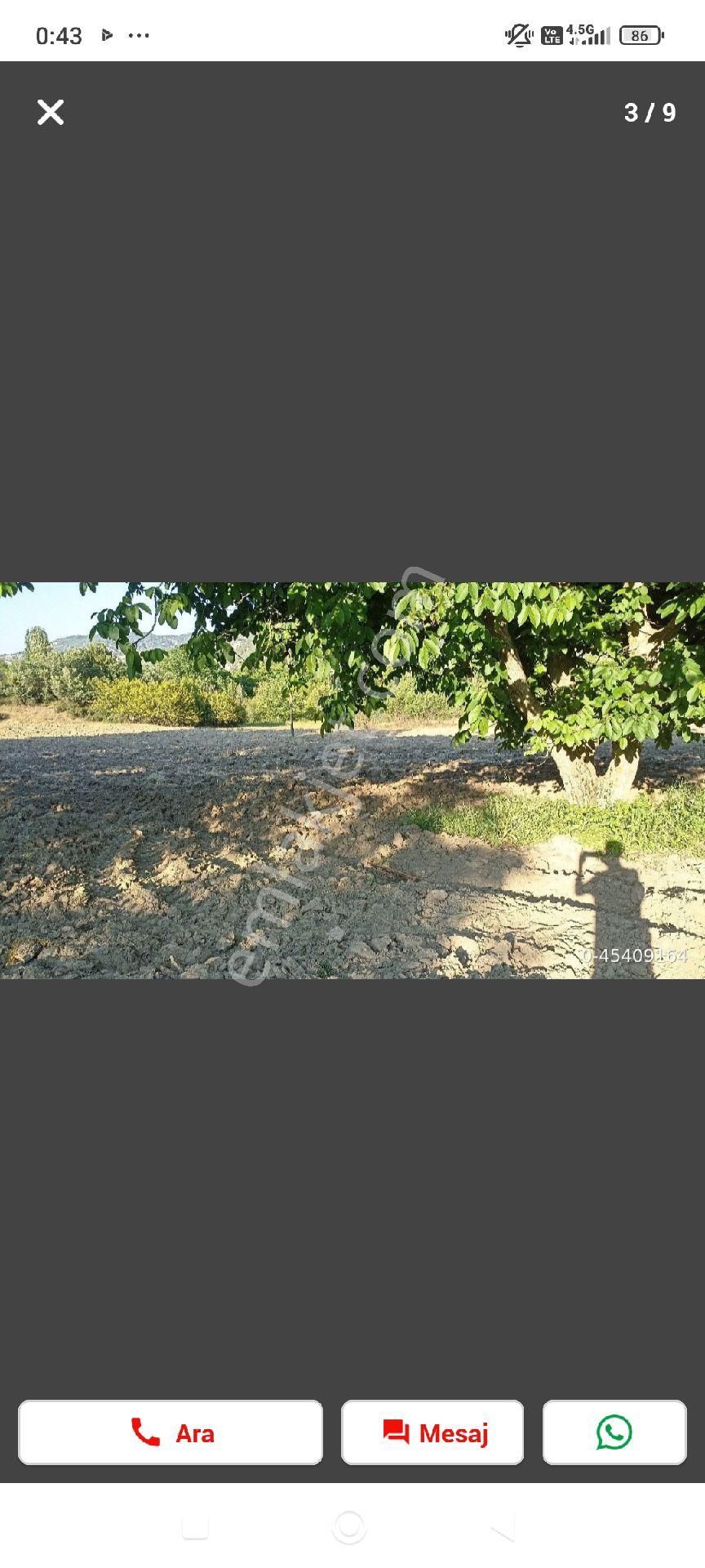 Yakapınar (şıhlar) Satılık Tarla Pazarlık Vardır. - Görsel 7