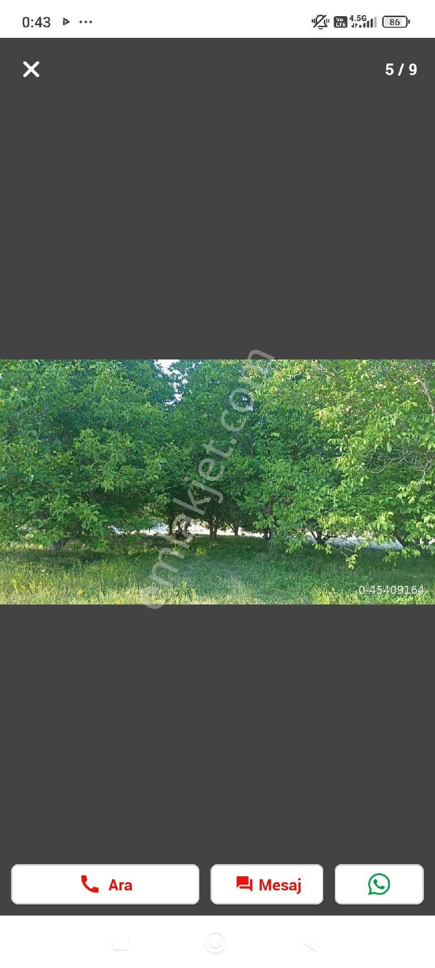 Yakapınar (şıhlar) Satılık Tarla Pazarlık Vardır. - Görsel 5