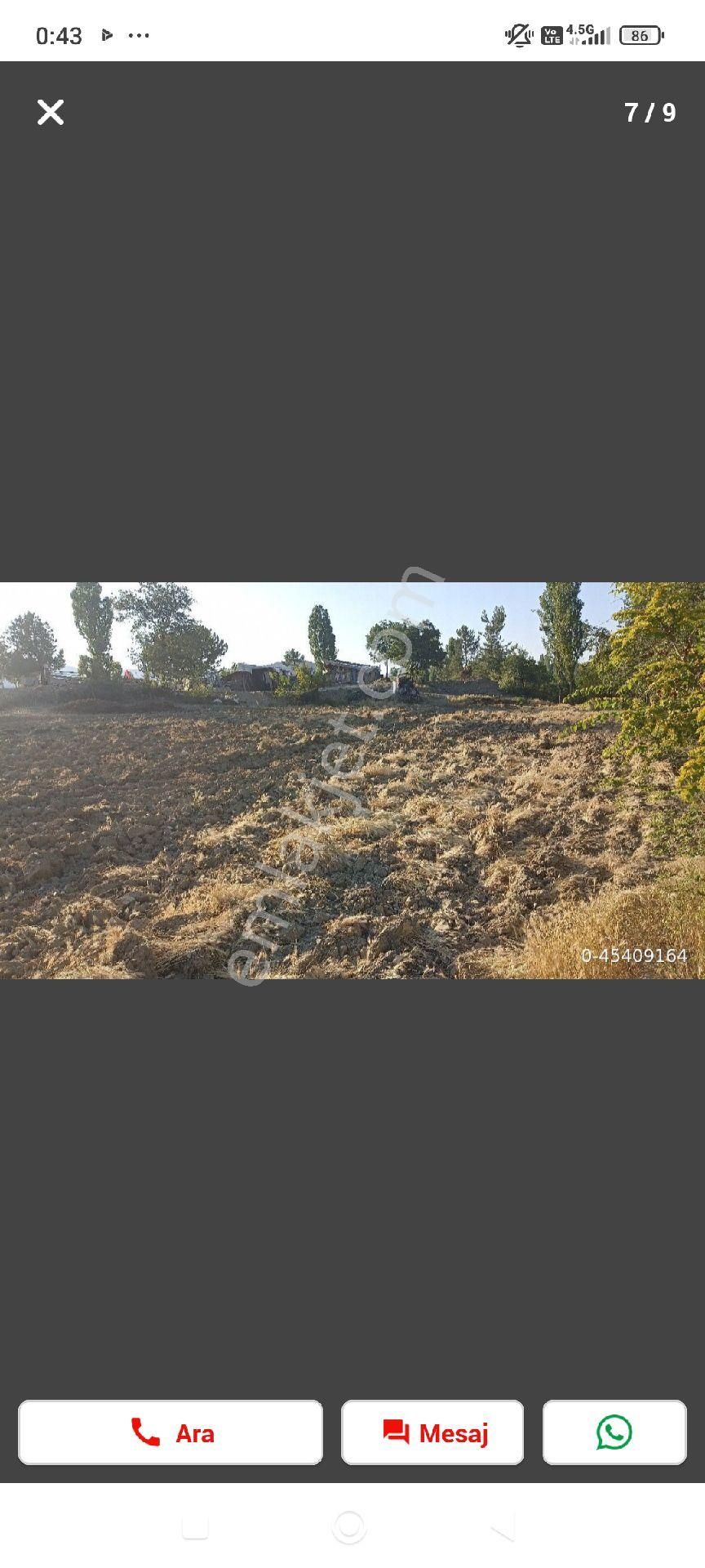 Yakapınar (şıhlar) Satılık Tarla Pazarlık Vardır. - Görsel 3