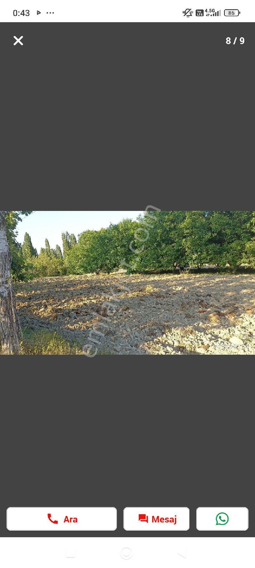 Yakapınar (şıhlar) Satılık Tarla Pazarlık Vardır. - Görsel 2