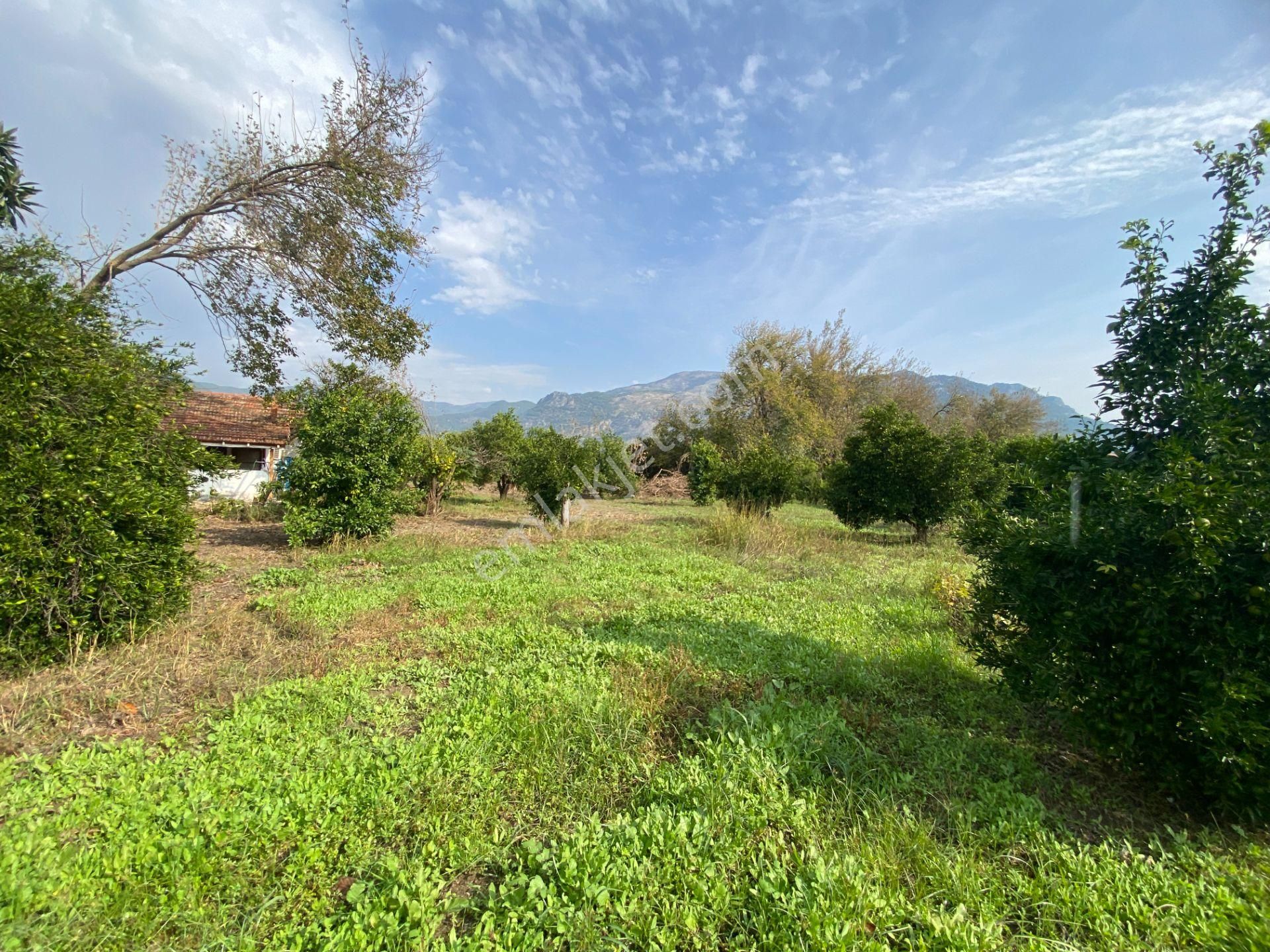 Köyceğiz Gelişim Mahallesinde İmarlı Arsa (kya03)