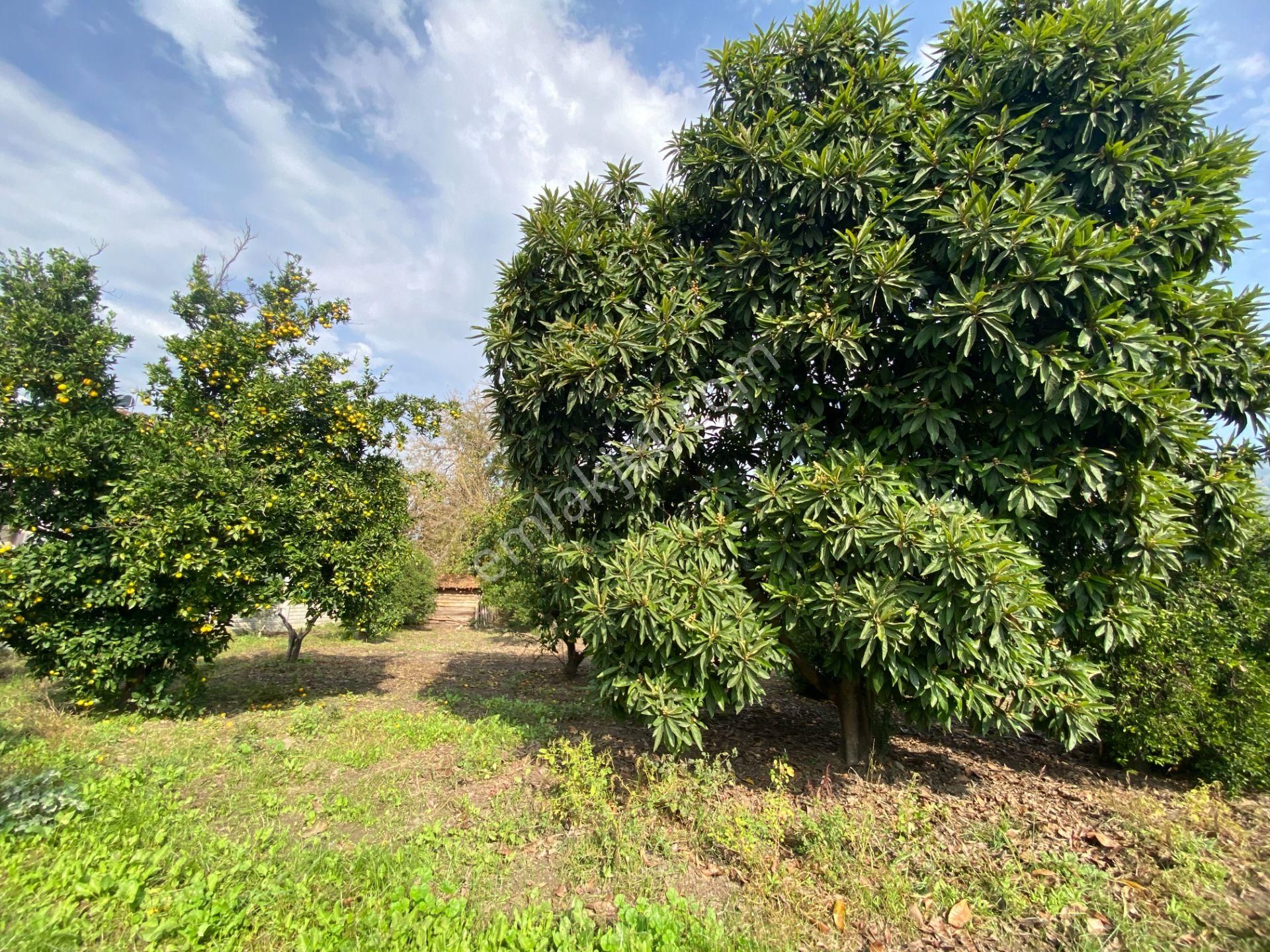 Köyceğiz Gelişim Mahallesinde İmarlı Arsa (kya03) - Görsel 6