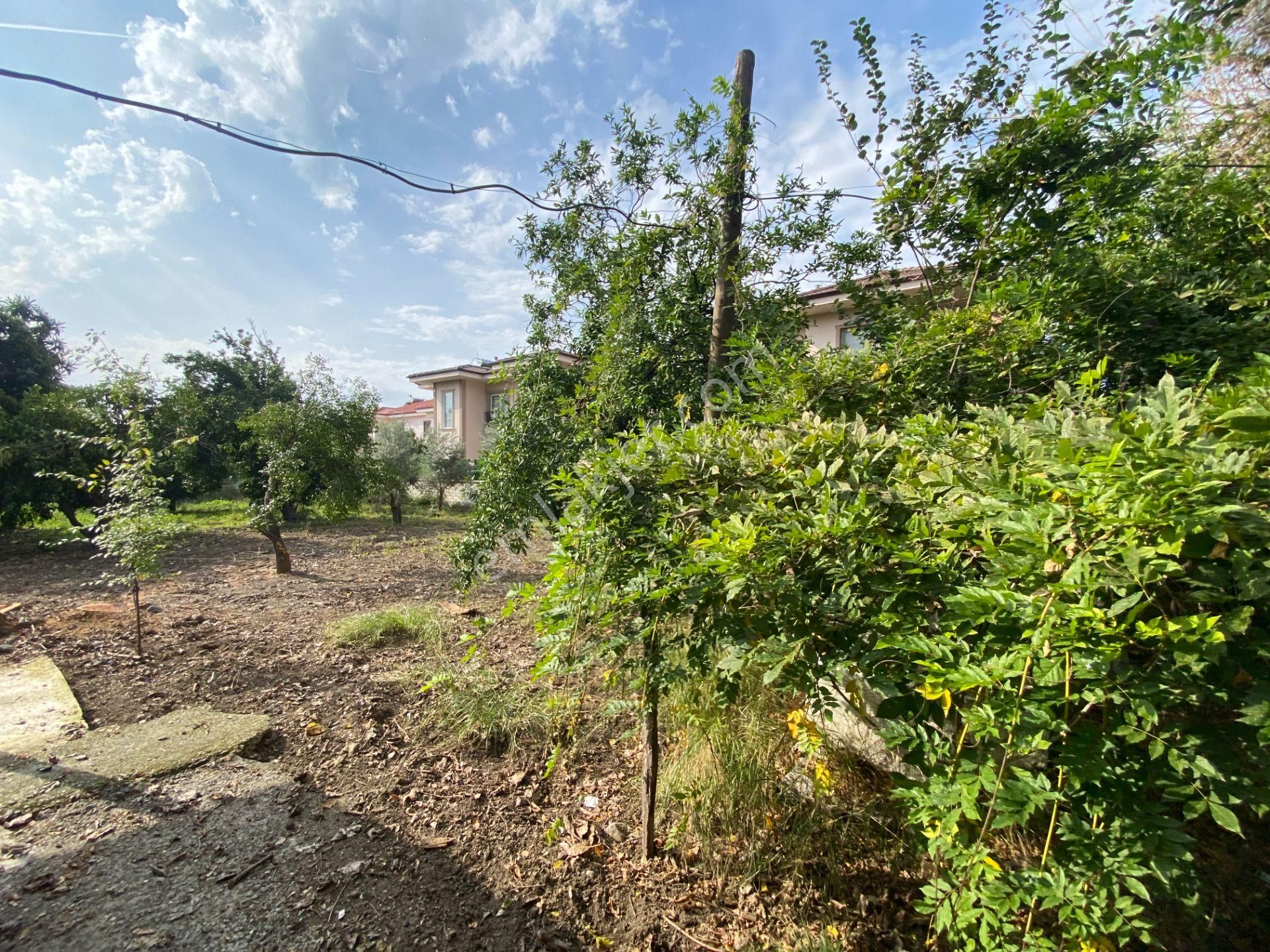 Köyceğiz Gelişim Mahallesinde İmarlı Arsa (kya03) - Görsel 4