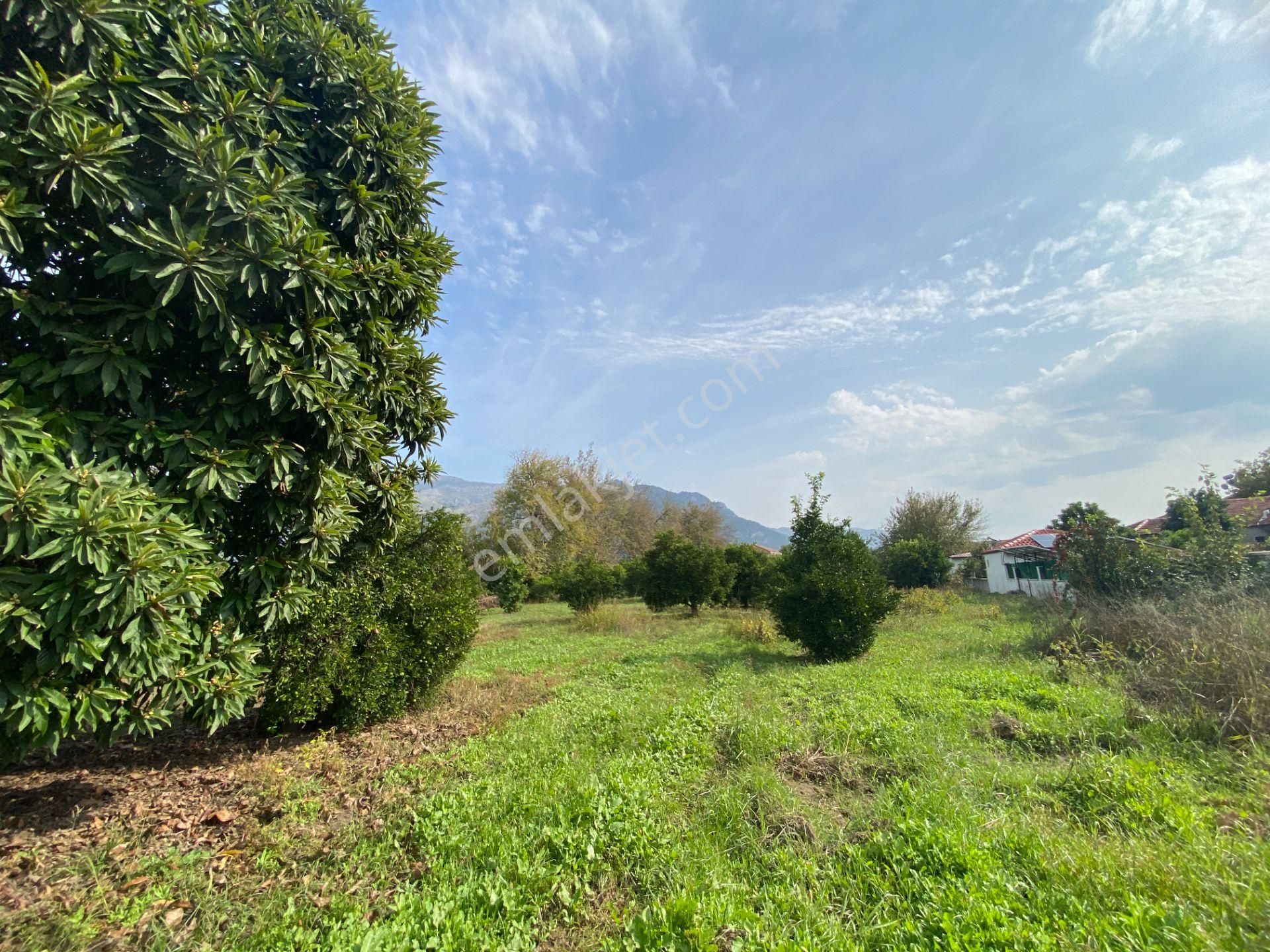 Köyceğiz Gelişim Mahallesinde İmarlı Arsa (kya03) - Görsel 5