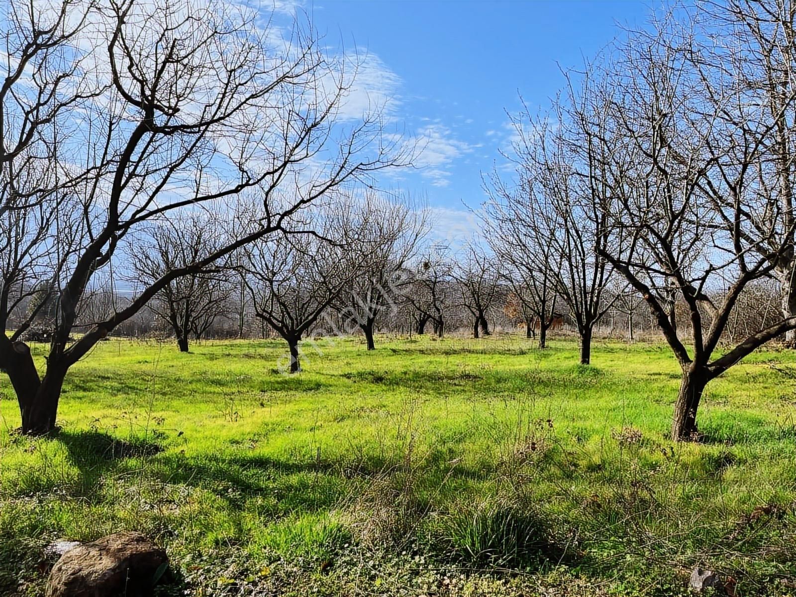 Kartepe Yenieşme'de Muhteşem Konumda Satılık Arazi - Görsel 4