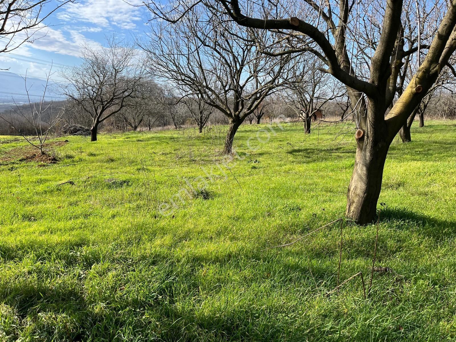 Kartepe Yenieşme'de Muhteşem Konumda Satılık Arazi - Görsel 3