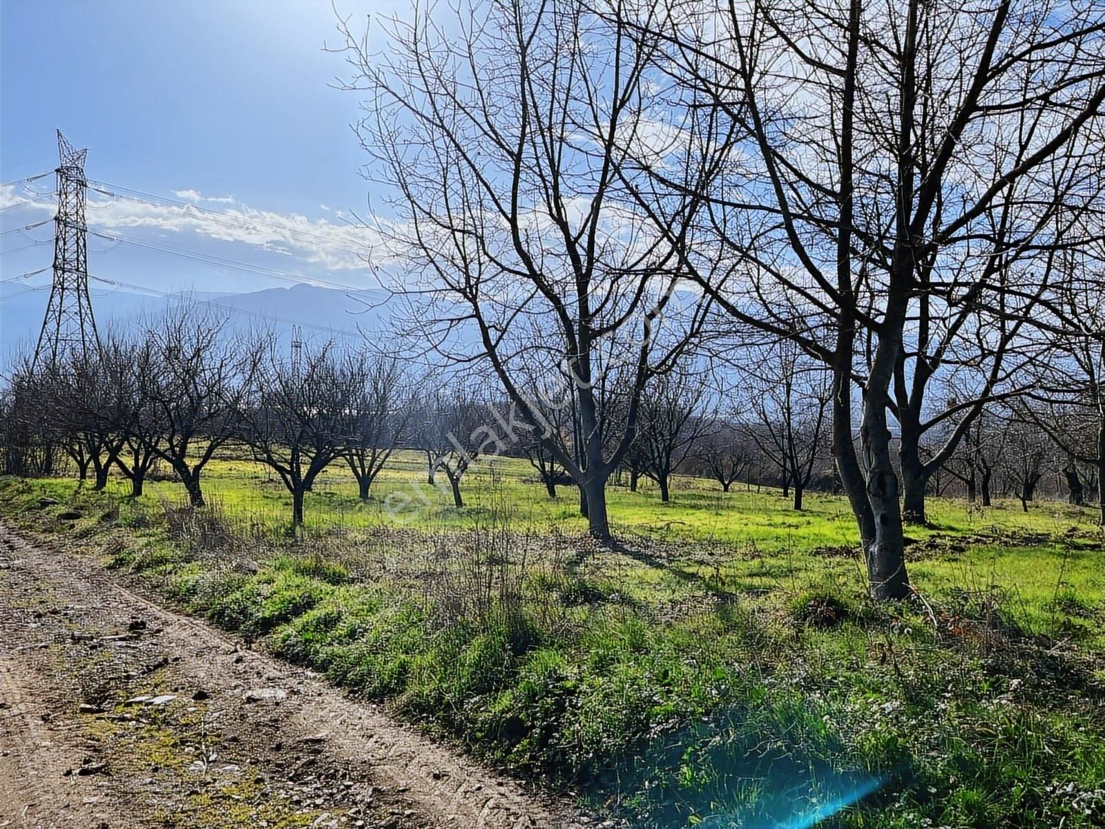 Kartepe Yenieşme'de Muhteşem Konumda Satılık Arazi - Görsel 5