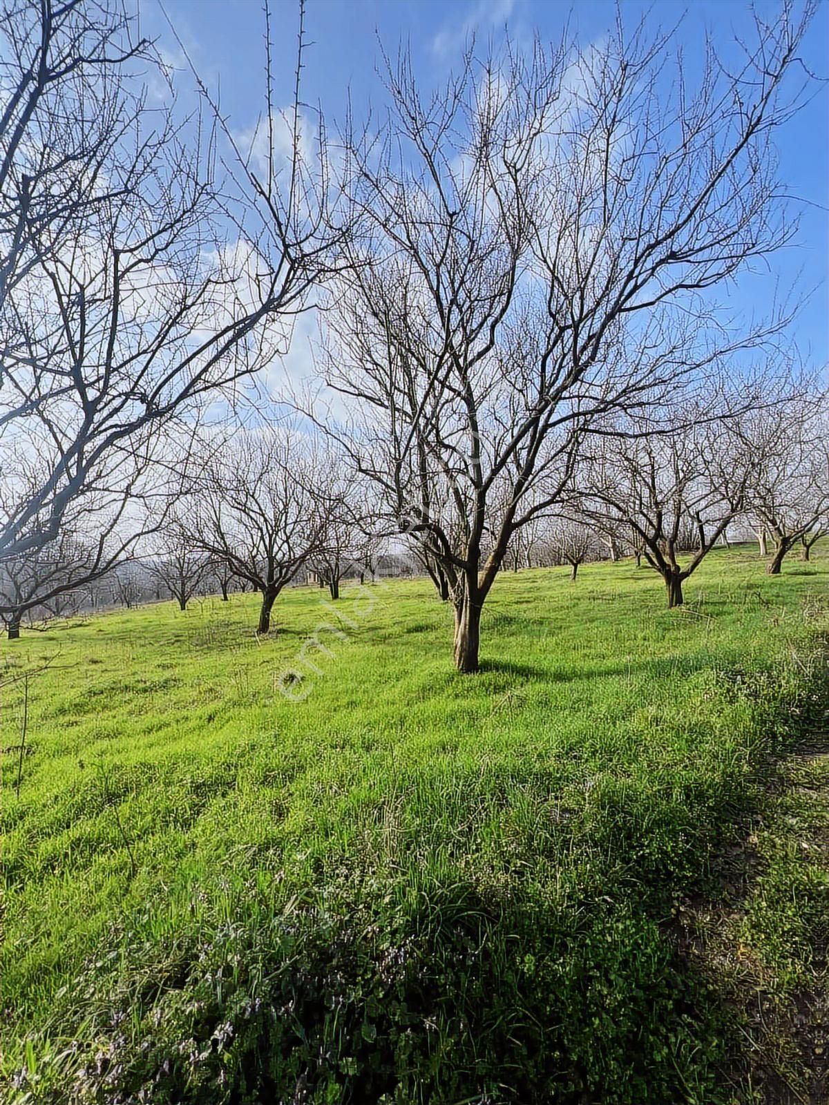 Kartepe Yenieşme'de Muhteşem Konumda Satılık Arazi - Görsel 13