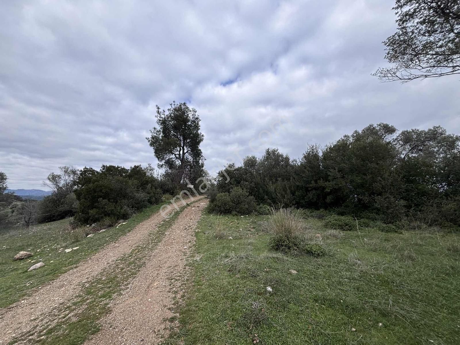 Realivadan İzmir Menderes'de Satılık Tarla - Görsel 8