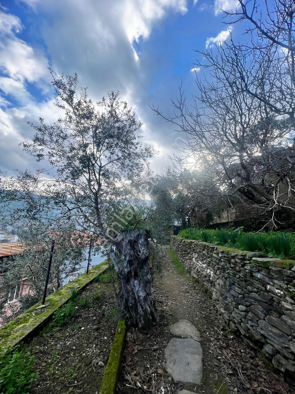 İzmir Torbalı Gold Emlaktan Tirede Satılık Mustakil Bahçeli Ev - Görsel 14