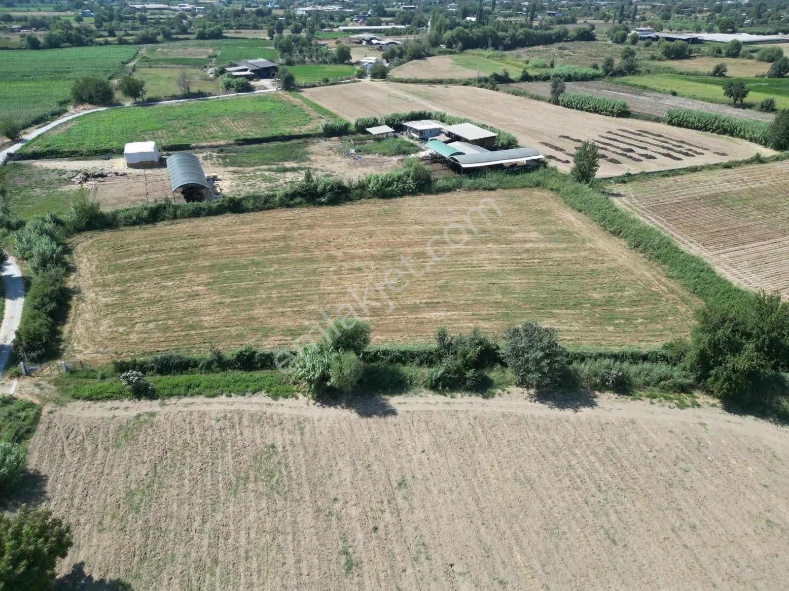 Century21 Işıltı'dan Umurlu Da Satılık Arsa - Görsel 7