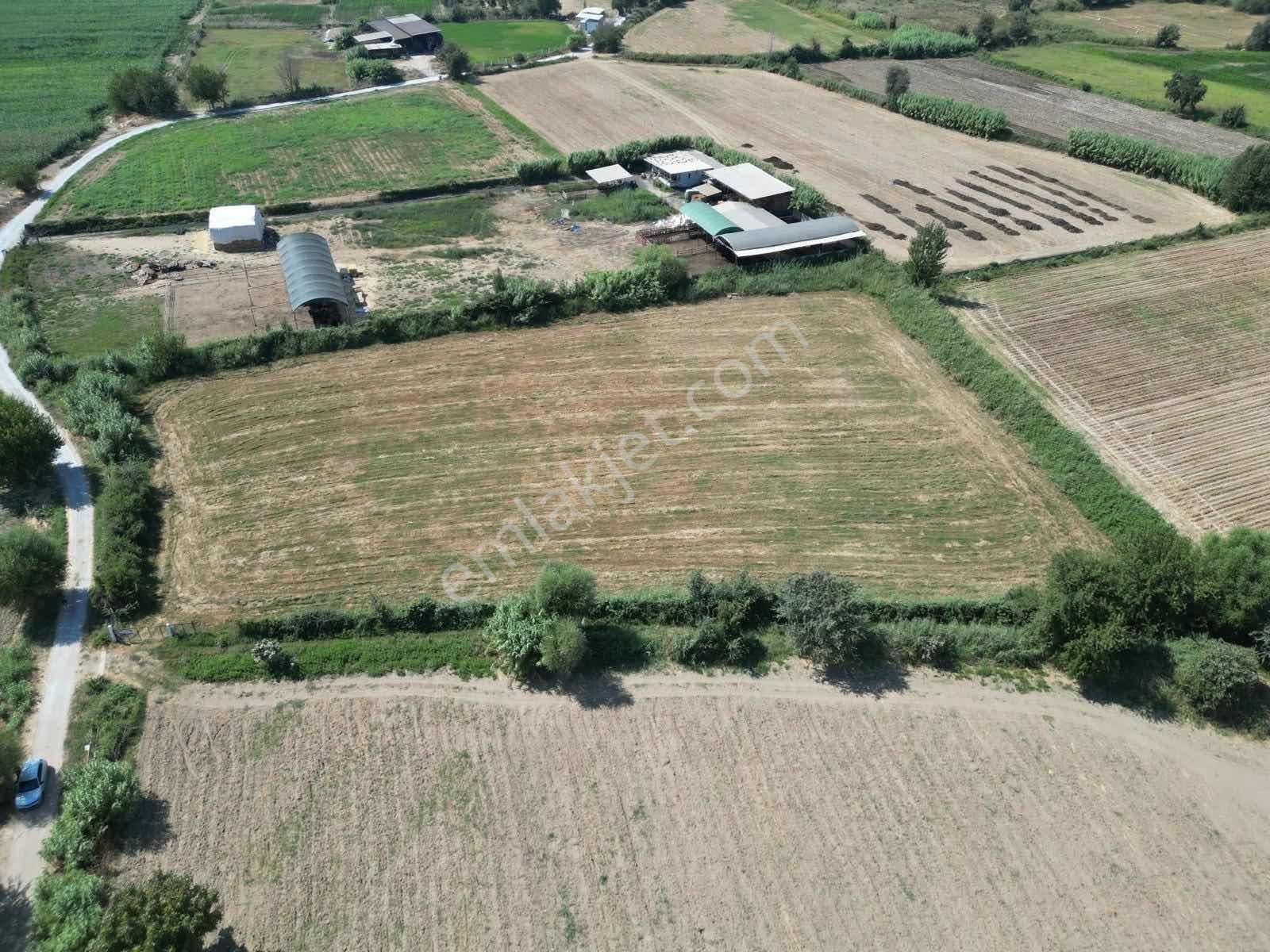 Century21 Işıltı'dan Umurlu Da Satılık Arsa - Görsel 9