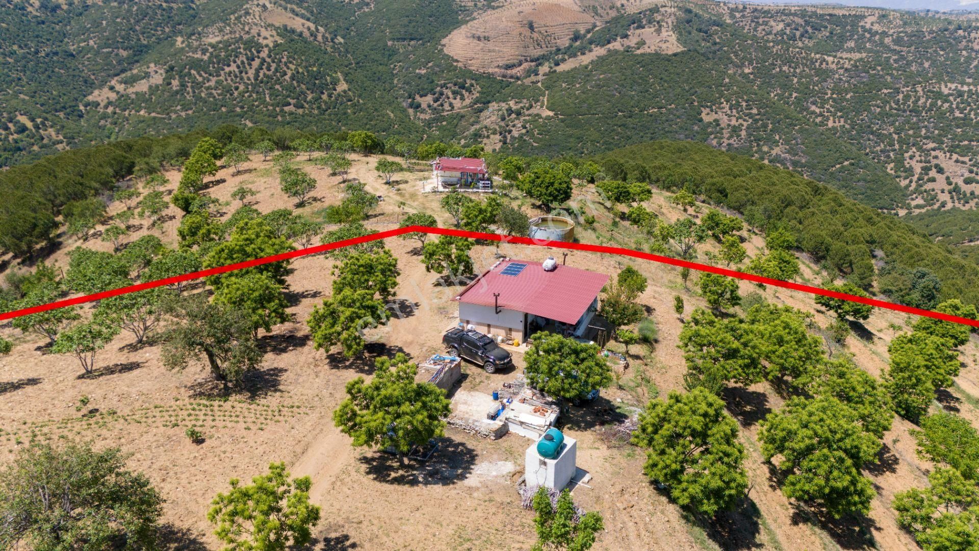 Aydın Yenipazar Alioğullar Mah De Satılık 30 Dönüm İncir Bahçesi Ve Bağ Evi - Görsel 2