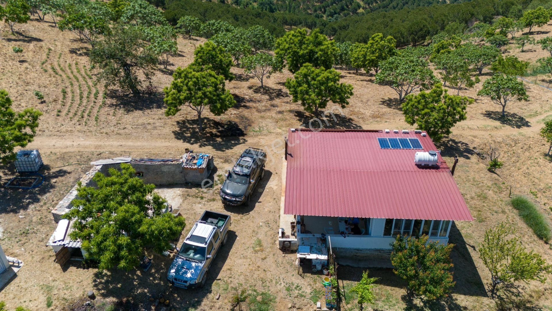 Aydın Yenipazar Alioğullar Mah De Satılık 30 Dönüm İncir Bahçesi Ve Bağ Evi - Görsel 3