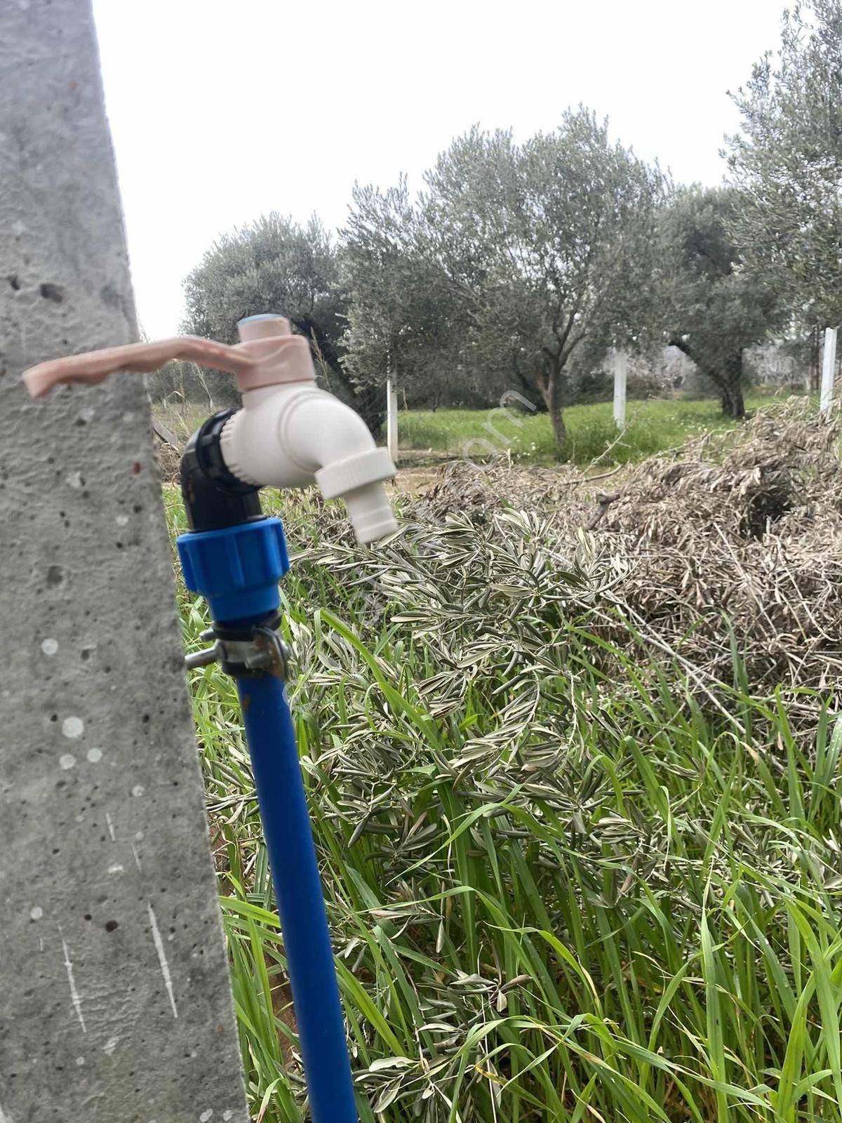 Torbalı Dağkızılca Köyünde Satılık 350m2 Resmi Tapulu Bahçe - Görsel 4