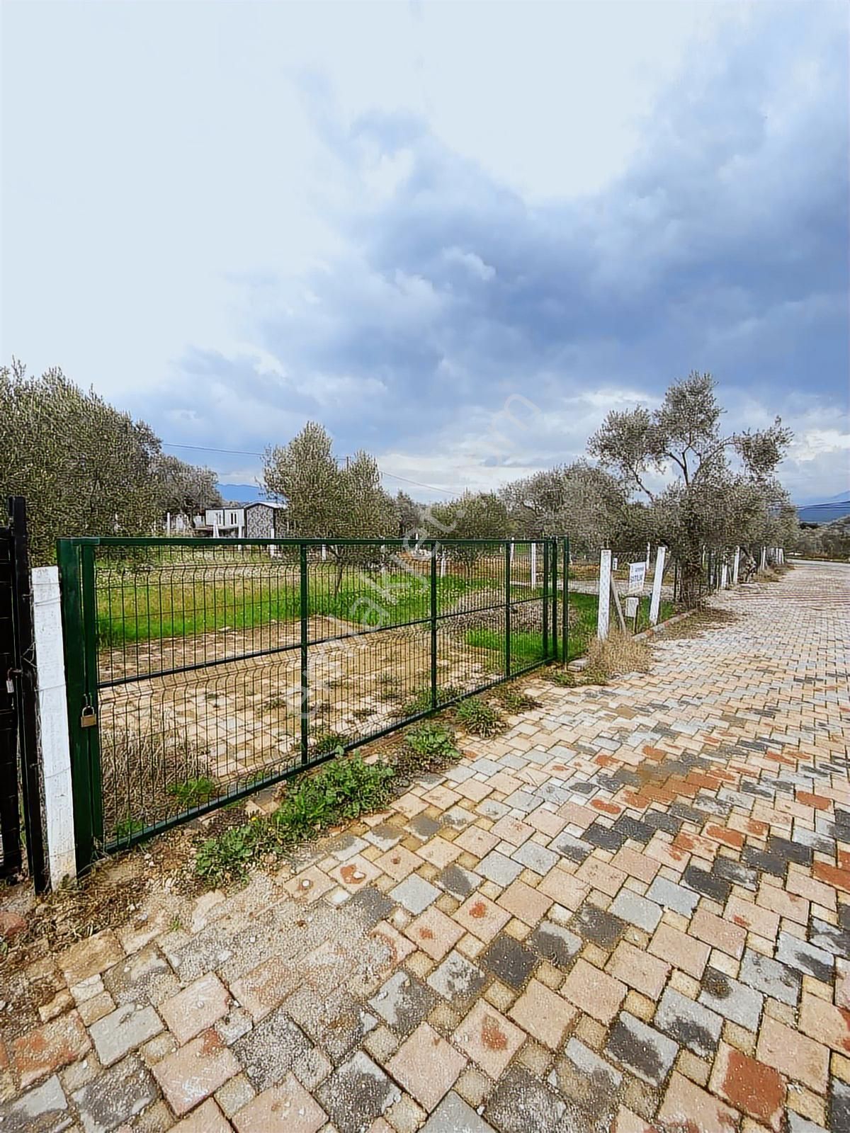 Torbalı Dağkızılca Köyünde Satılık 350m2 Resmi Tapulu Bahçe - Görsel 10