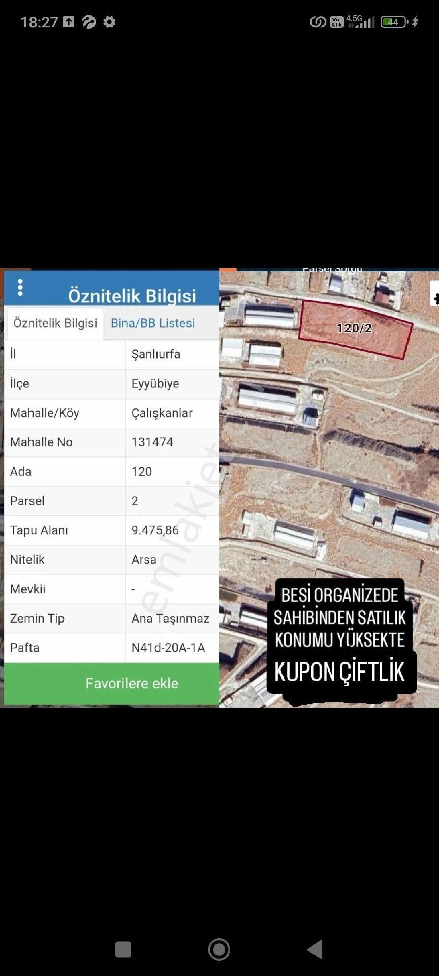 Besi Organizede 704 Metrekare 32 Metre Uzunluğunda