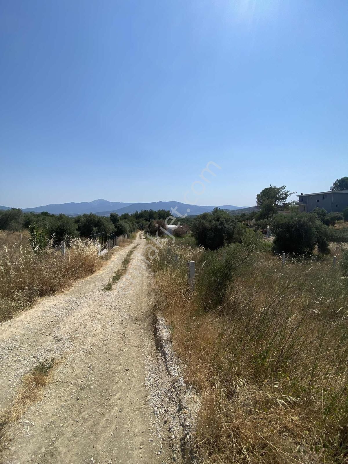 Torbalı Bozköyde Satılık Hisse Tapulu Zeytinlik - Görsel 8