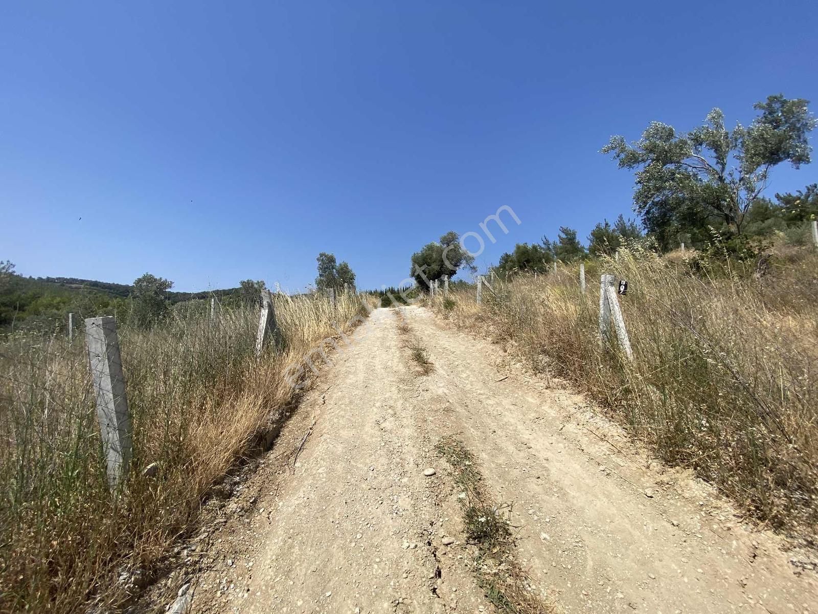 Torbalı Bozköyde Satılık Hisse Tapulu Zeytinlik - Görsel 7