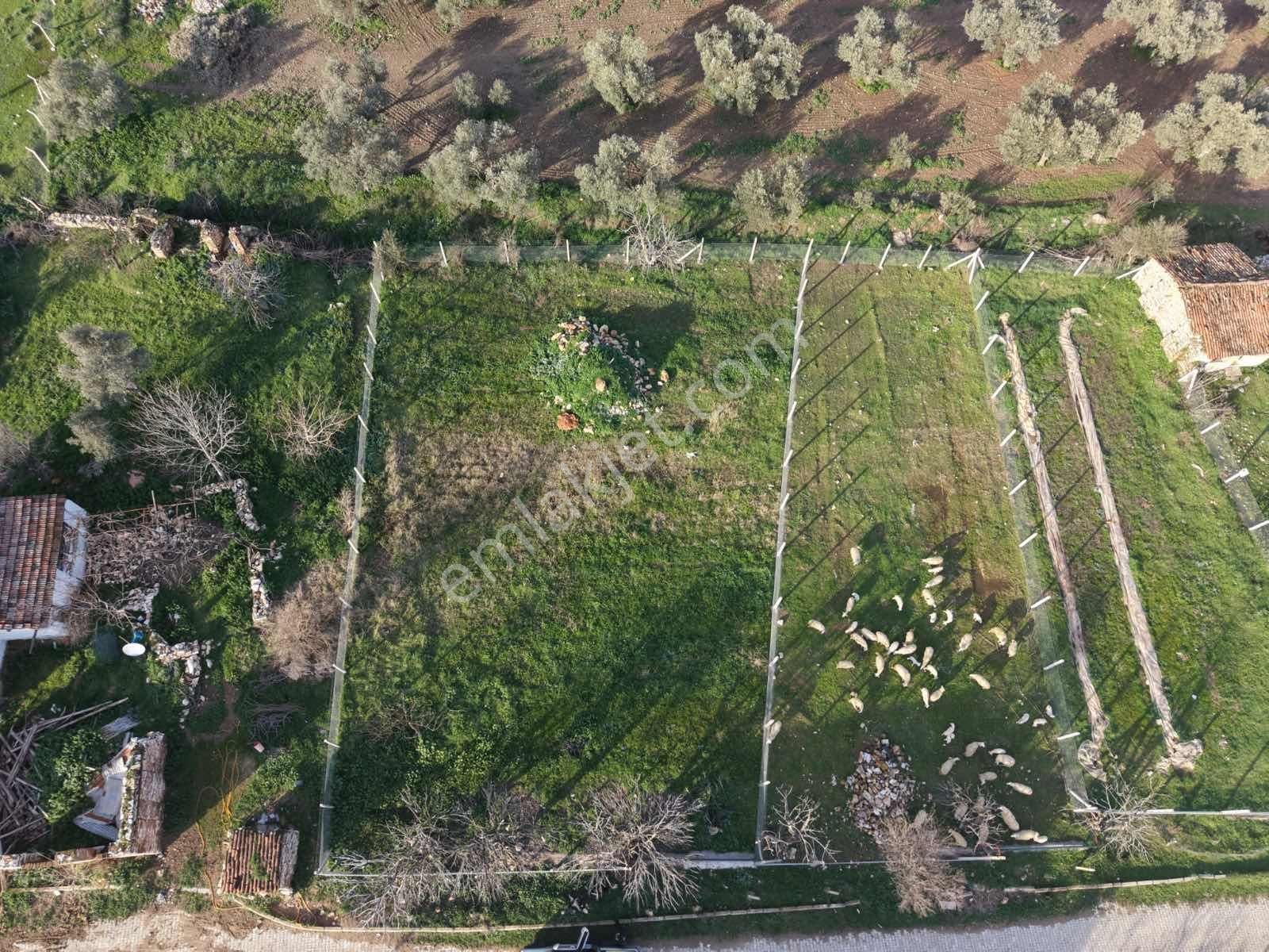 Kaçmazer'den Yeni Obada Satılık Arsa - Görsel 5