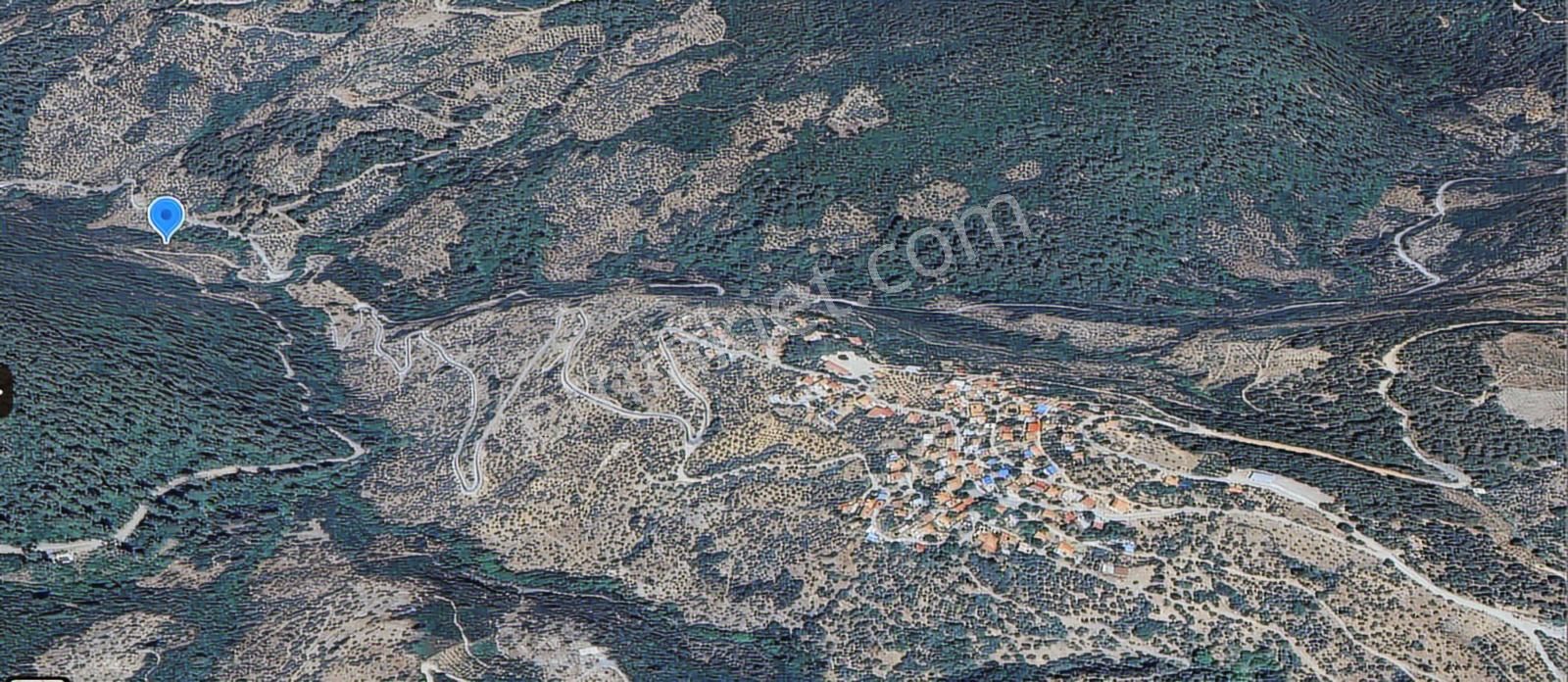 Yola Sıfır Cephelı Suyu Olan Müstakıl (tek) Tapulu Zeytınlık - Görsel 6