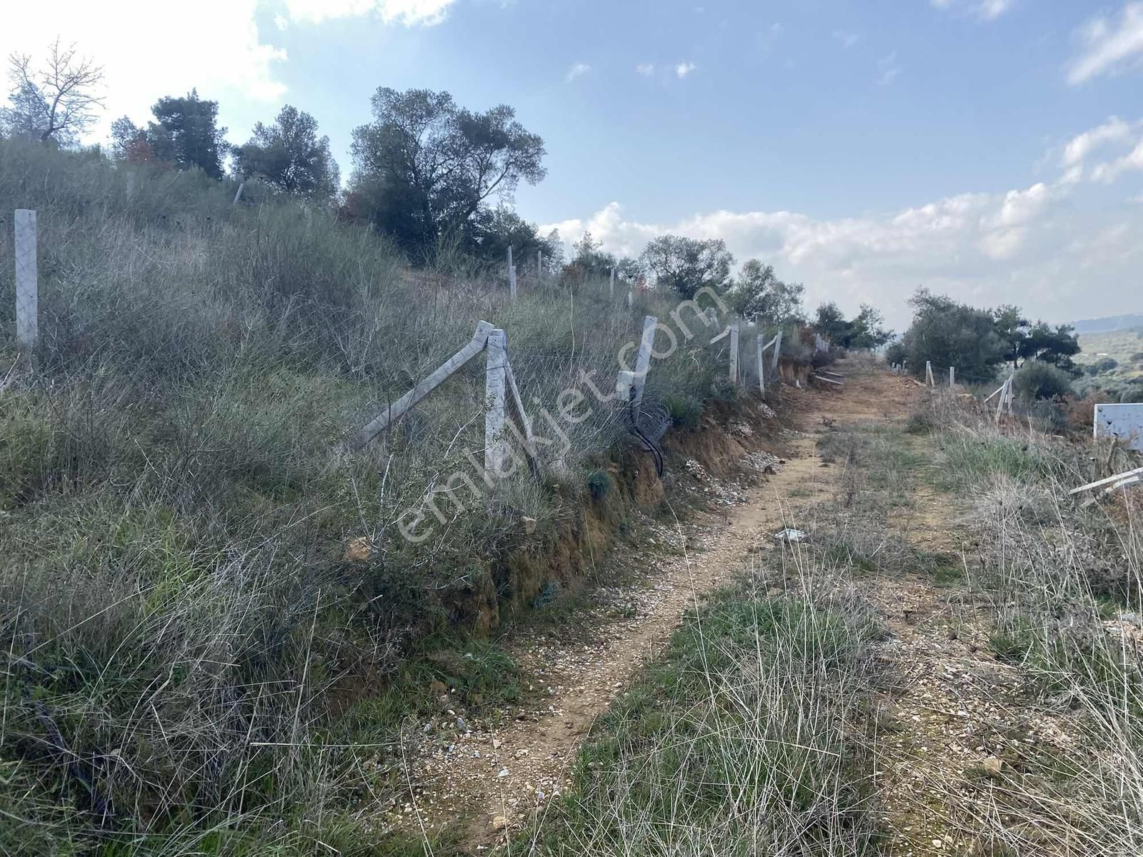 Torbalı Karakızlarda Cadde Üzeri Satılık Bahçe - Görsel 11